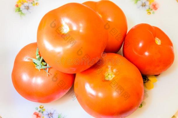 温室番茄从Seaof马尔马拉海地区-火鸡