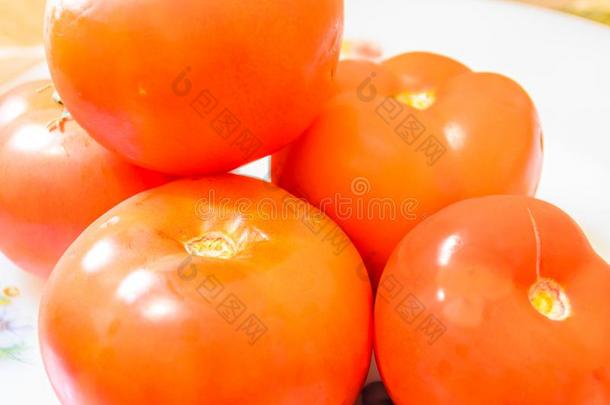 温室番茄从Seaof马尔马拉海地区-火鸡