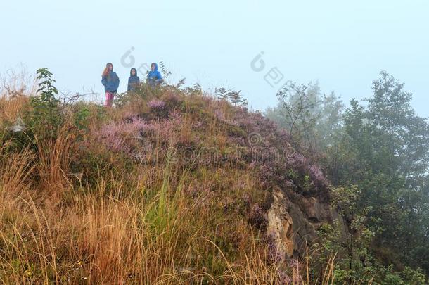 家庭向多雾的早晨水珠山小山.