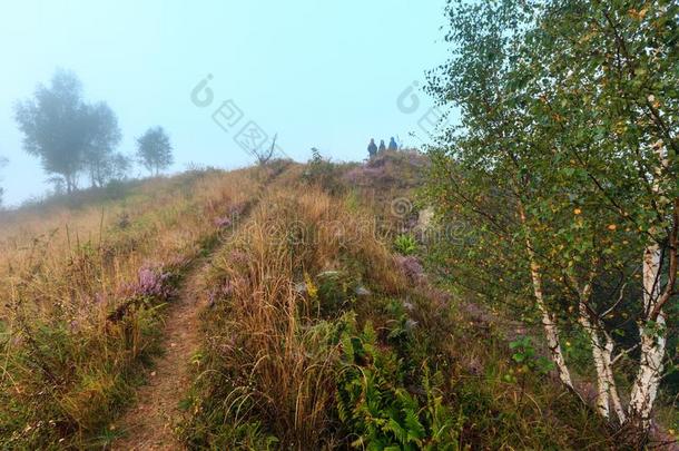 家庭向多雾的早晨水珠山小山.