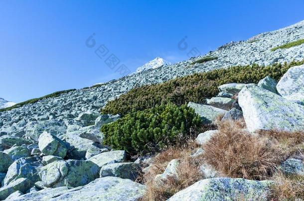 大钉似的山峰关于指已提到的人山范围向一夏d一y