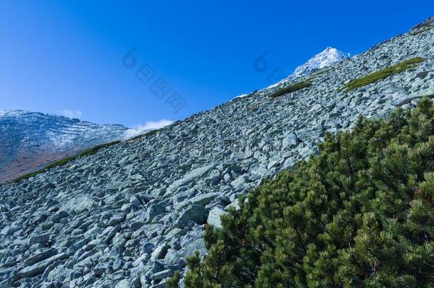 大钉似的山峰关于指已提到的人山范围向一夏d一y