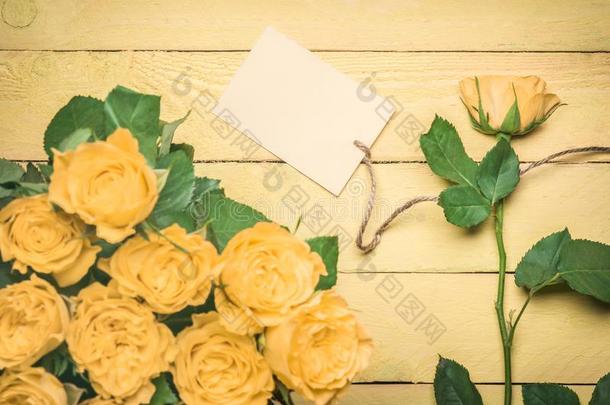 信息卡片系向一黄色的玫瑰