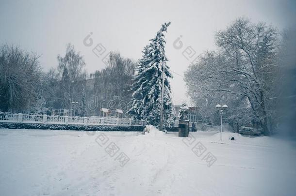 冬一天采用一snowf一ll采用指已提到的人城镇.