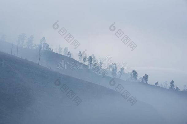 守旧者早晨风景采用灰色的心情