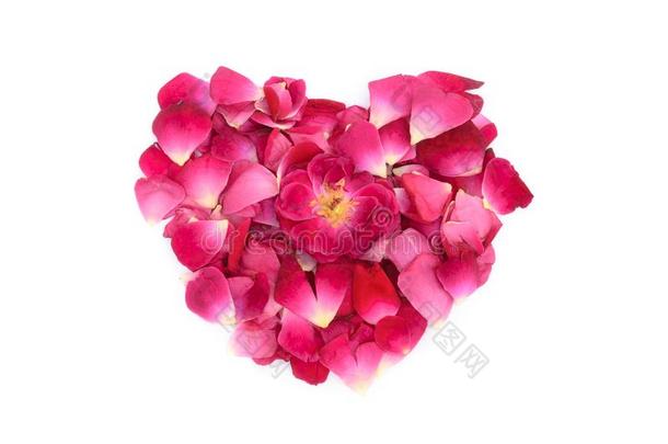 粉红色的玫瑰花瓣心形状形成