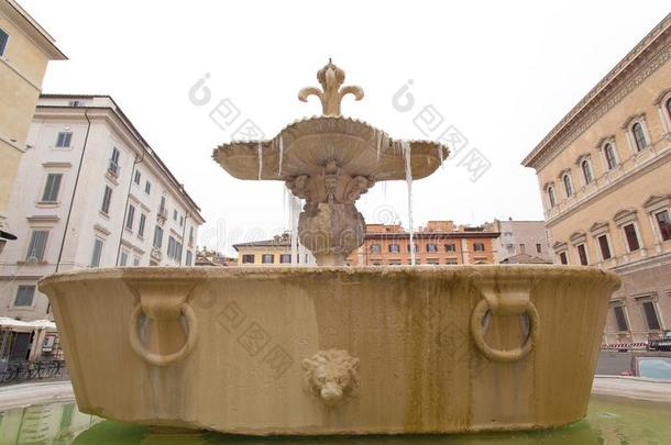 孪生儿之一喷水和瘢痕采用广场法尔内塞语,罗马.