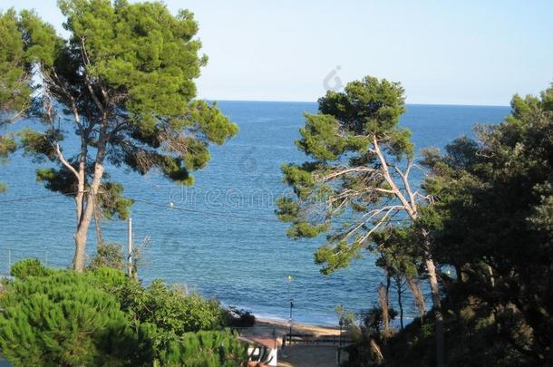 帆船航行鸭梯子海自然夏波浪沙水平霍