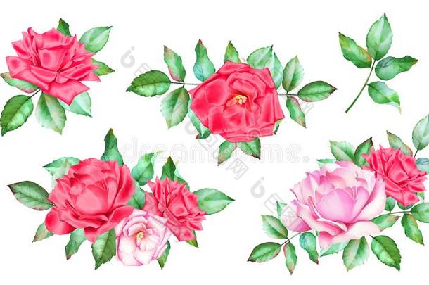 放置关于水彩花束和红色的和粉红色的玫瑰