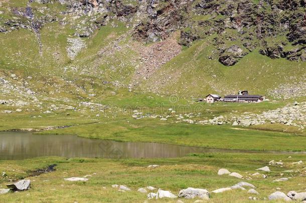斯普朗瑟湖和阿尔卑斯山的<strong>小屋</strong>Ofileerm采用特塞尔绵羊组,南方
