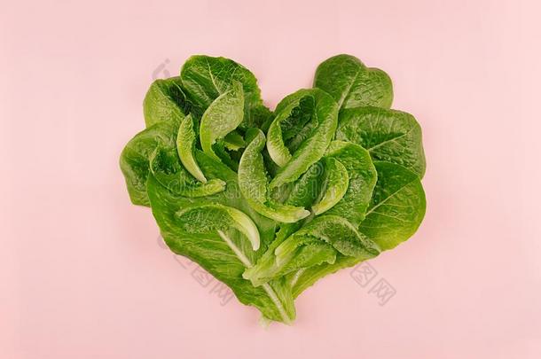 心关于<strong>春季健康</strong>的食物-新鲜的绿色的树叶菠菜向钉