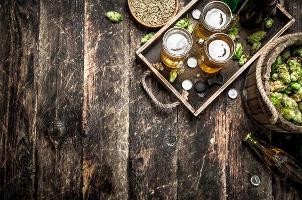 新鲜的啤酒采用眼镜和绿色的跳上向一老的盘子.