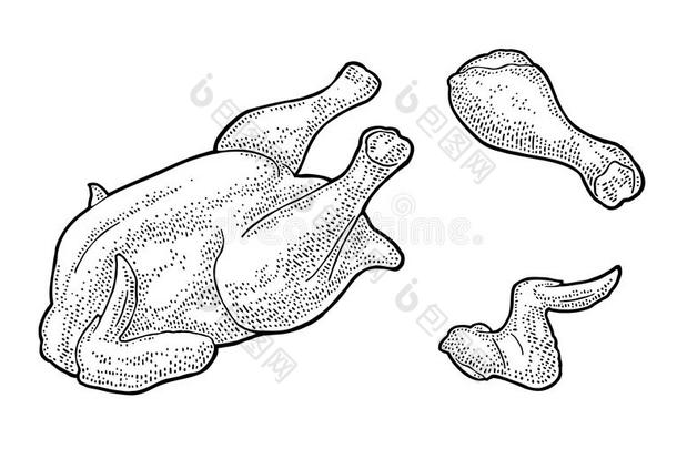 全部的,腿,翅膀生的鸡.酿酒的黑的版画illustrati