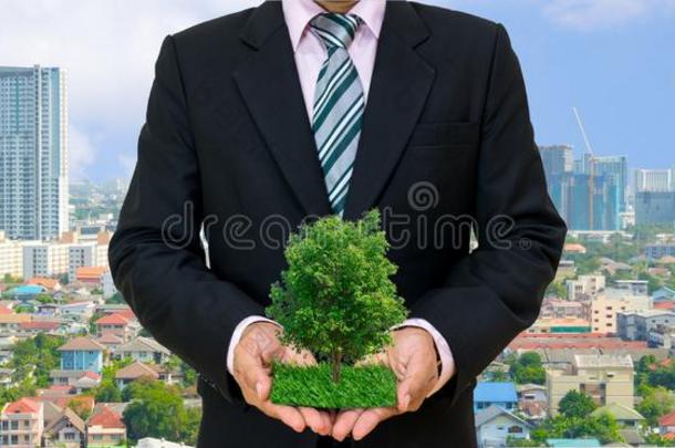 生态学观念人手佃户租种的土地大的<strong>植物</strong>树和向<strong>世界</strong>