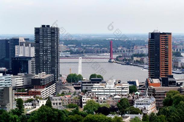 鹿特丹看见从在上面