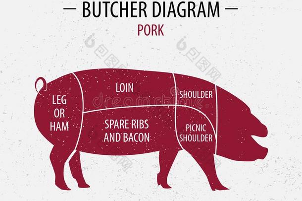 将切开关于猪肉.海报屠夫图表为食品杂货店,肉