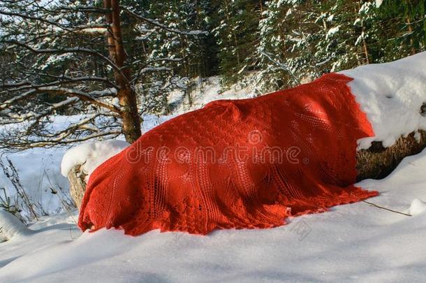 一红色的围巾向一白色的雪