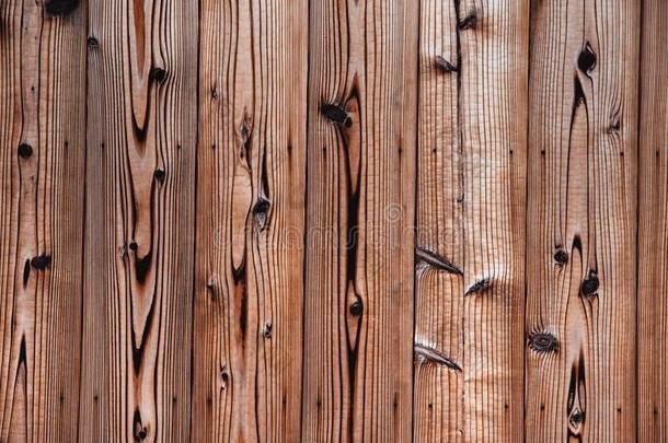 日本人松树木材墙质地