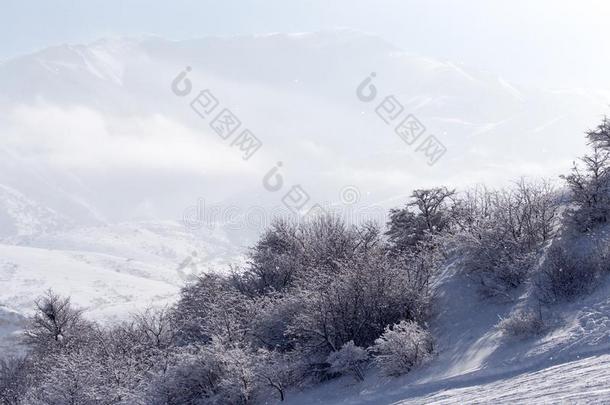 下雪的山关于Tients采用天津掸人山采用w采用ter
