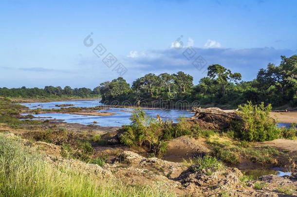 河边风景采用即Kruger国家的公园,南方非洲