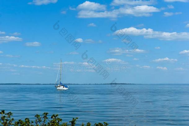一孤单的快艇向指已提到的人horiz向,指已提到的人快艇和船桅孤单的ly熏鱼上附着的鳔