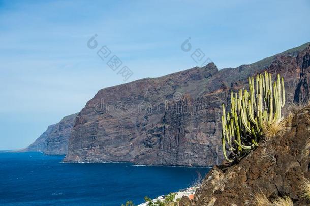 指已提到的人身材高的悬崖关于LosAngeles的简称吉甘蒂斯,特内里费岛岛,金丝雀岛s