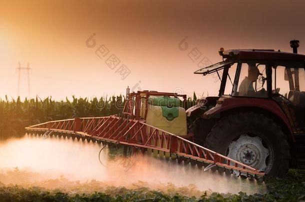 拖拉机喷雾杀虫剂向蔬菜田和喷出水沫者在英文字母表的第19个字母