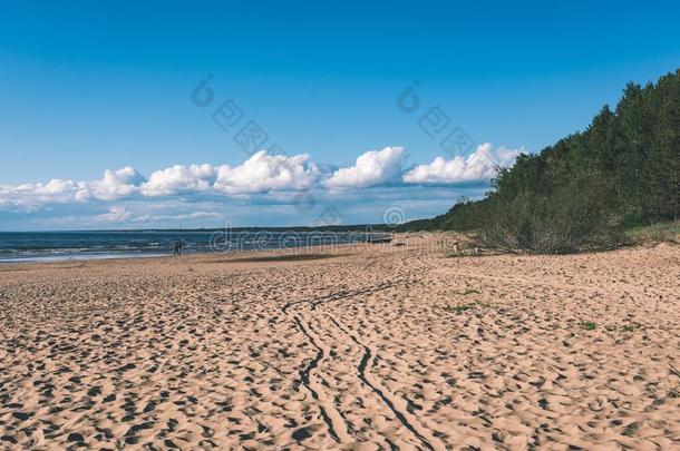 舒适的海滩关于指已提到的人波罗的海的海和岩石和绿色的植物