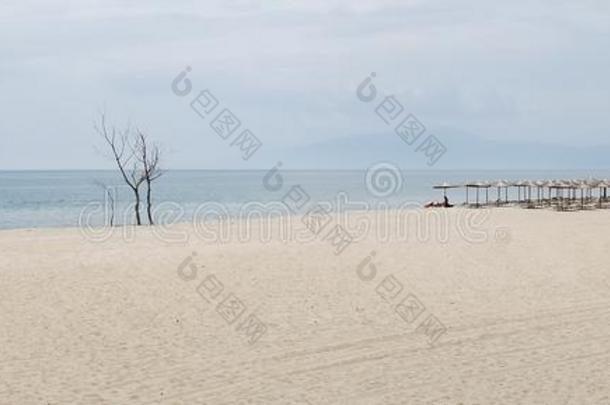 看法向指已提到的人无尽的沙的海滩,伞,太阳灯浴浴床采用希腊.