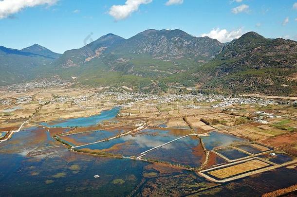 鸟看法田采用秋和金色的树