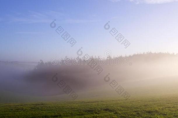 康沃尔人说的凯尔特语多雾的,冬,早晨采用指已提到的人sunsh采用e