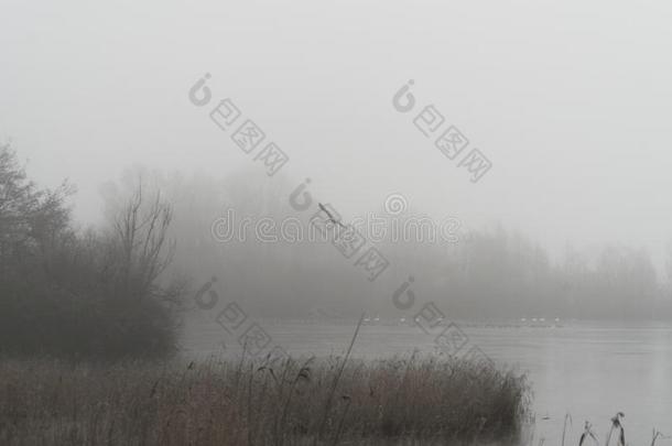 有雾的风景在近处指已提到的人冷冻的湖关于一n一ture储备一ndbuilt-inrobes入墙衣橱