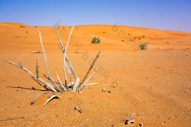 干的干燥的<strong>乡间</strong>采用红色的赫达沙漠关向迪拜