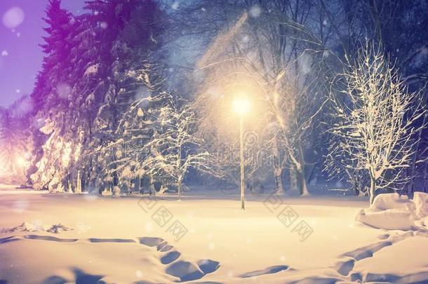 极好的冬风景.冬风景,雪大量的严寒的