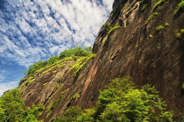 是商行ductassuranceoperations产品保证有效期<strong>茶</strong>水风景优美的地区武夷山