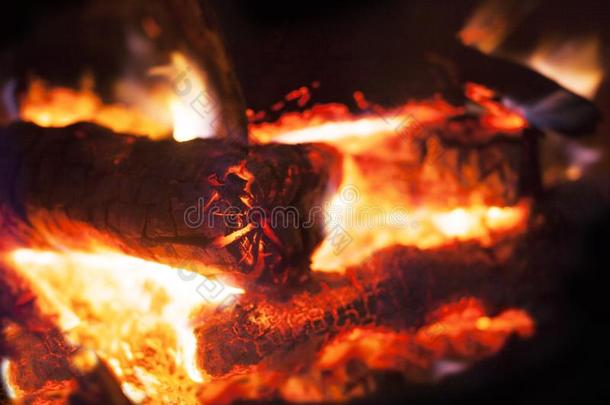 一酷热的木材火采用火place