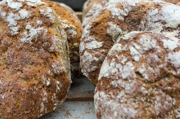 意大利人全麦面粉面包典型的关于指已提到的人特伦蒂诺女低音阿迪杰河区