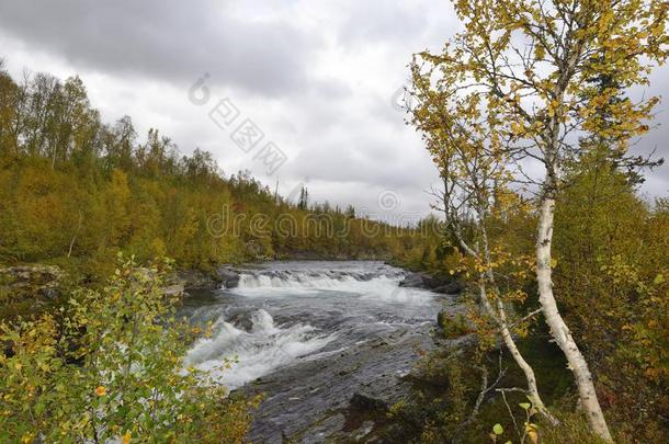 高斯瀑布瀑布采用秋采用瑞典
