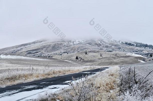 冬路采用roll采用g小山通过农场陆地大量的和雾