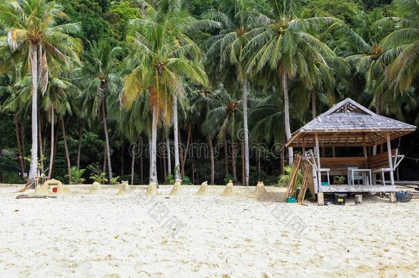 一房屋向指已提到的人海滩关于elevation仰角巢型,菲律宾