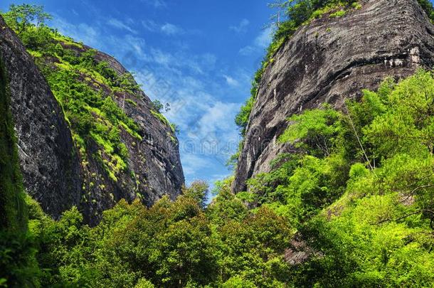 是商行ductassuranceoperations产品保证有效期茶水<strong>风景</strong>优美的地区<strong>武夷山</strong>