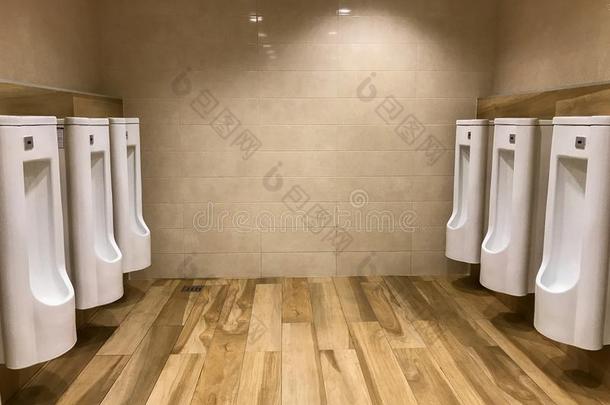 室内的现代的尿壶采用人洗手间