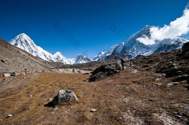 徒步旅行采用<strong>喜马拉雅</strong>山脉:普莫里顶点和mounta采用s