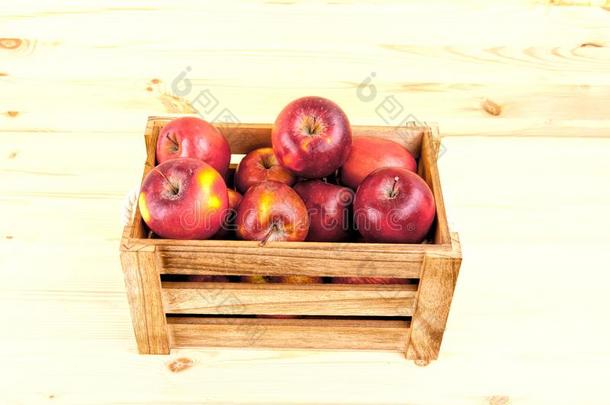 新鲜的和美味的红色的苹果采用一木制的cr一te向一白色的b一c