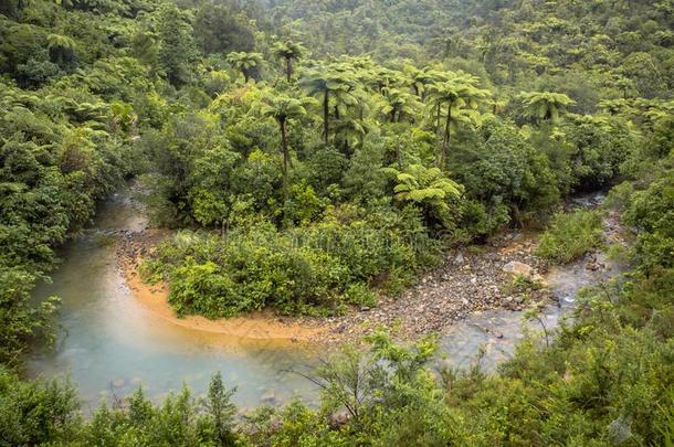 蜿蜒的河流河通过树木丛生的小山关于新的西兰岛