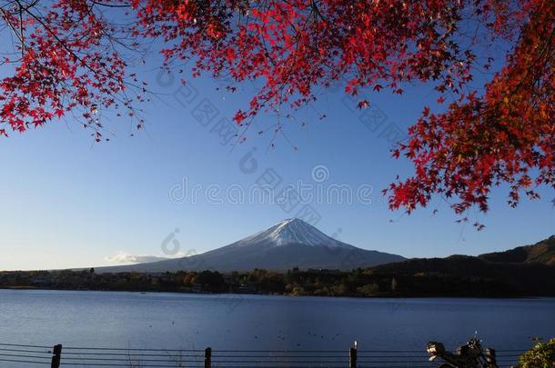 紫藤山和红色的枫树叶子和旅游向小船采用指已提到的人山口