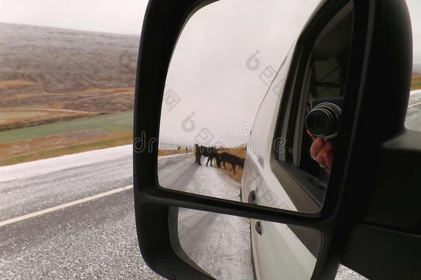 寒冷的山路和许多冰岛的马,<strong>一路</strong>旅游向指已提到的人
