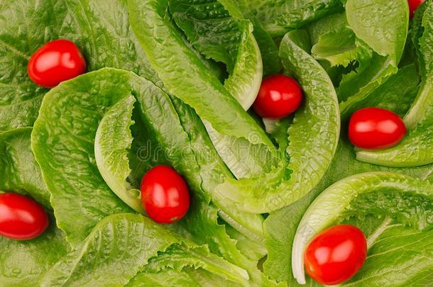 <strong>春季健康</strong>的食物-樱桃番茄和绿色的树叶菠菜英语字母表的第16个字母