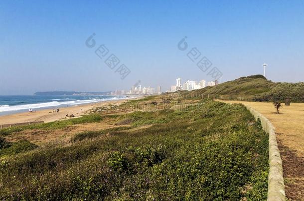 沙丘植物临海的风景采用德班东部港市）南方非洲