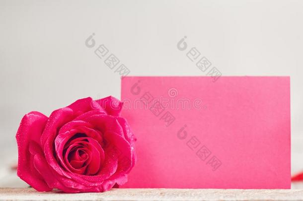 空白的粉红色的纸卡片和num.一粉红色的玫瑰.招呼卡片